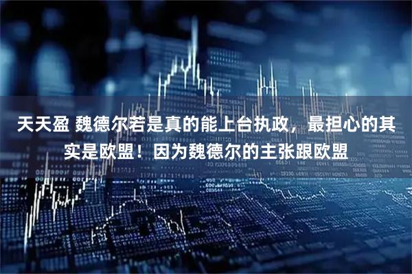 天天盈 魏德尔若是真的能上台执政，最担心的其实是欧盟！因为魏德尔的主张跟欧盟