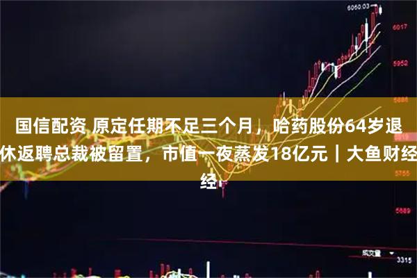 国信配资 原定任期不足三个月，哈药股份64岁退休返聘总裁被留置，市值一夜蒸发18亿元｜大鱼财经